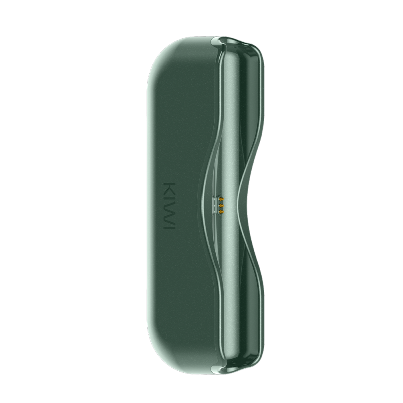 Power Bank - Kiwi